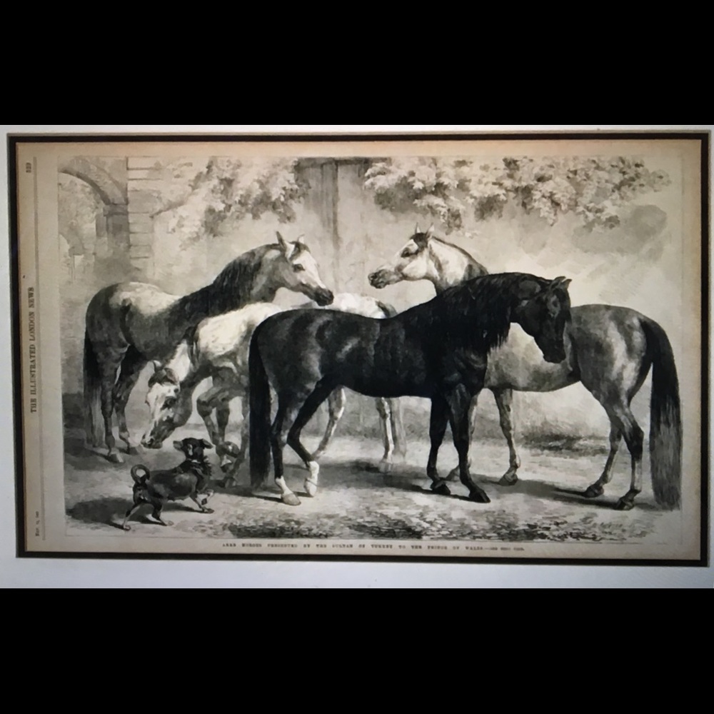 Meet your Posher, Wisteria